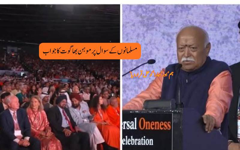 نیویارک میں آر ایس ایس سربراہ کا خطاب، تنوع میں اتحاد پر زور